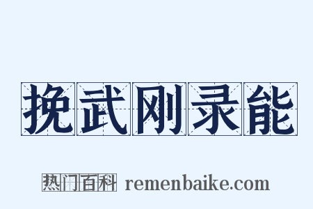 挽武刚录能是什么意思的图片